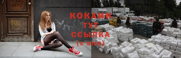 прущие грибы Богородск