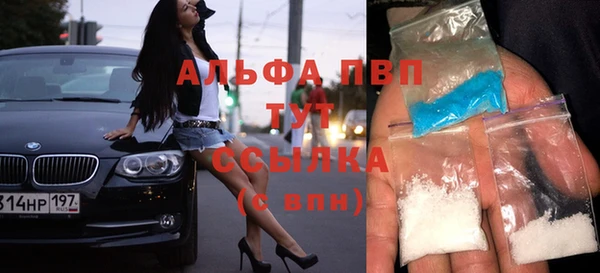 стаф Богданович