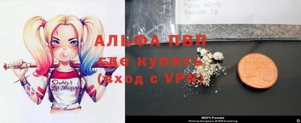 прущие грибы Богородск