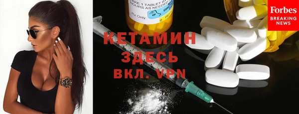 стаф Богданович