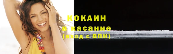 стаф Богданович